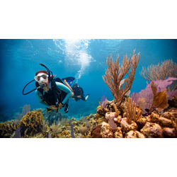 Open Water Diver - Class & Pool Dives